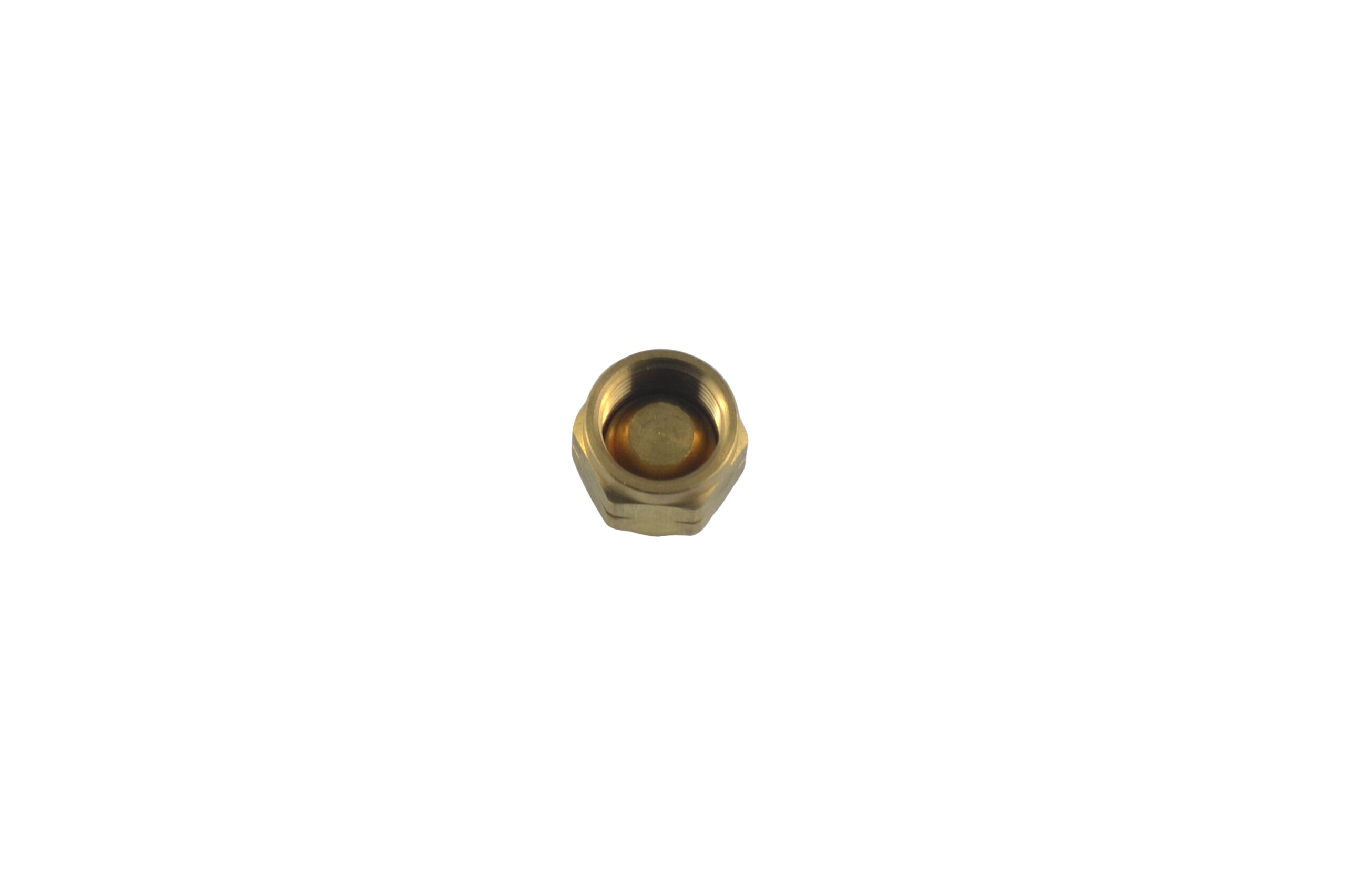 Blanking cap 5/8"-18 LH